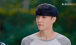 多年男明星绯闻爆料视频,揭秘多年男明星绯闻背后的真相